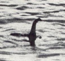 Nessie 1934: This is data. Draw wisely.